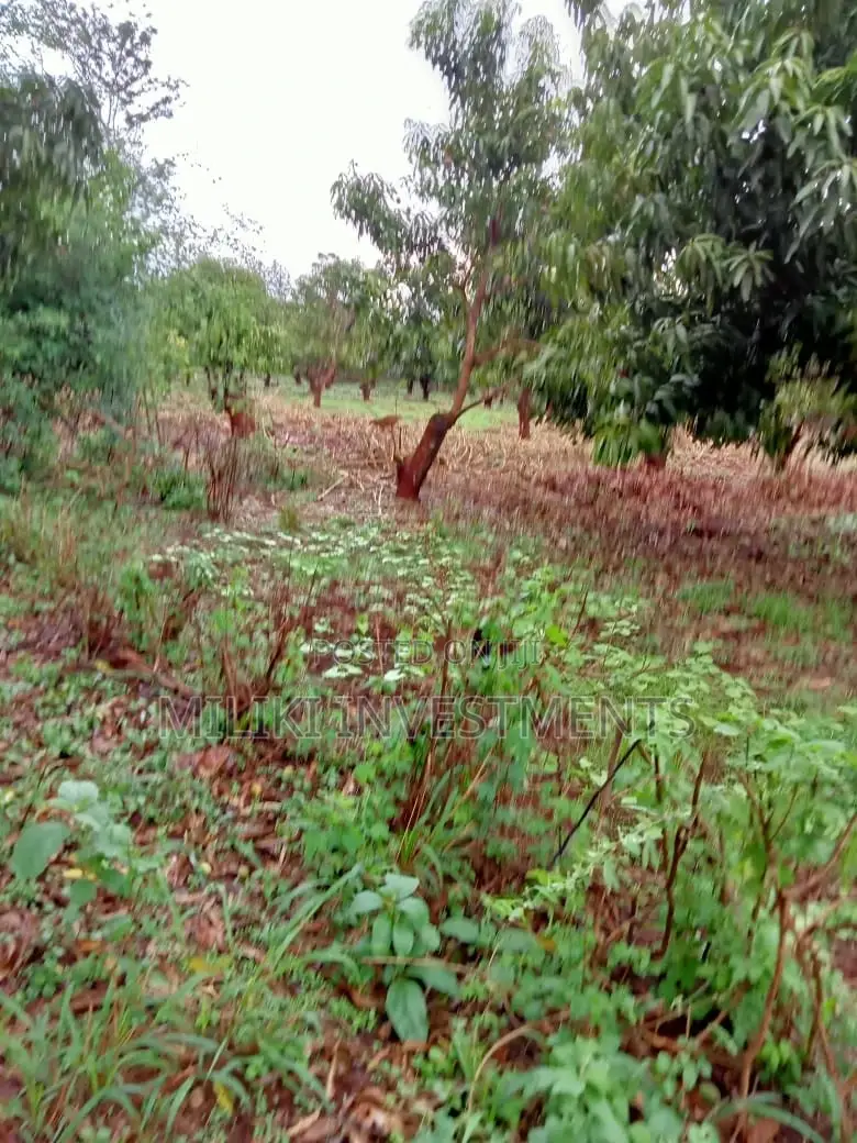 4-Acre Plot in Mbombo: Ideal for Development in Kamahuha