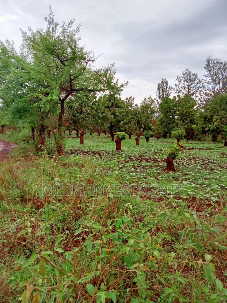 4-Acre Plot in Mbombo: Ideal for Development in Kamahuha