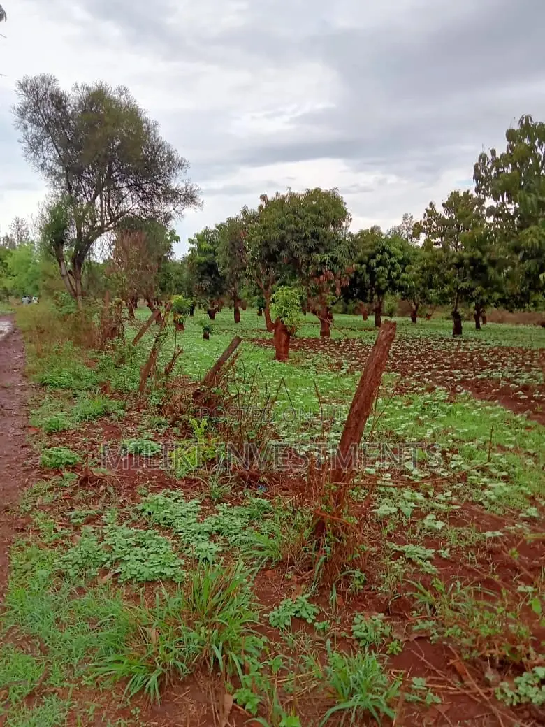4-Acre Plot in Mbombo: Ideal for Development in Kamahuha