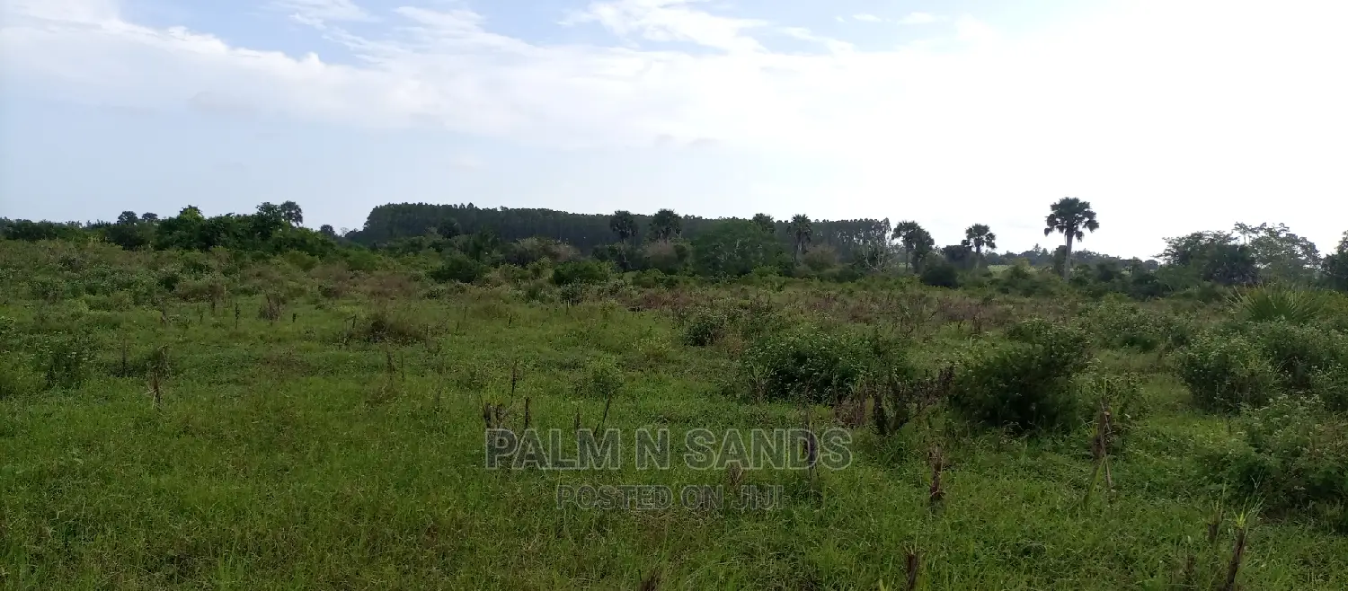 Majoreni's 30-Acre Arable Field - Available Now in Pongwe/Kikoneni