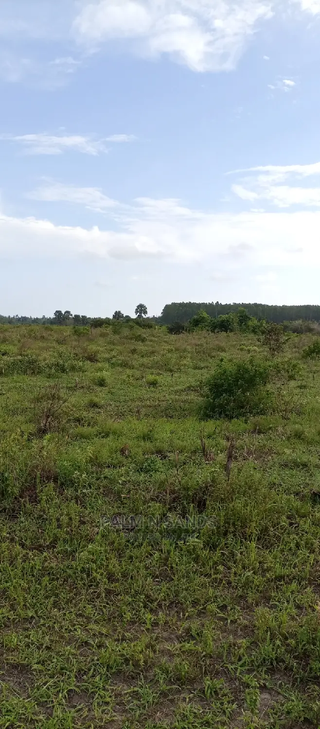 Majoreni's 30-Acre Arable Field - Available Now in Pongwe/Kikoneni