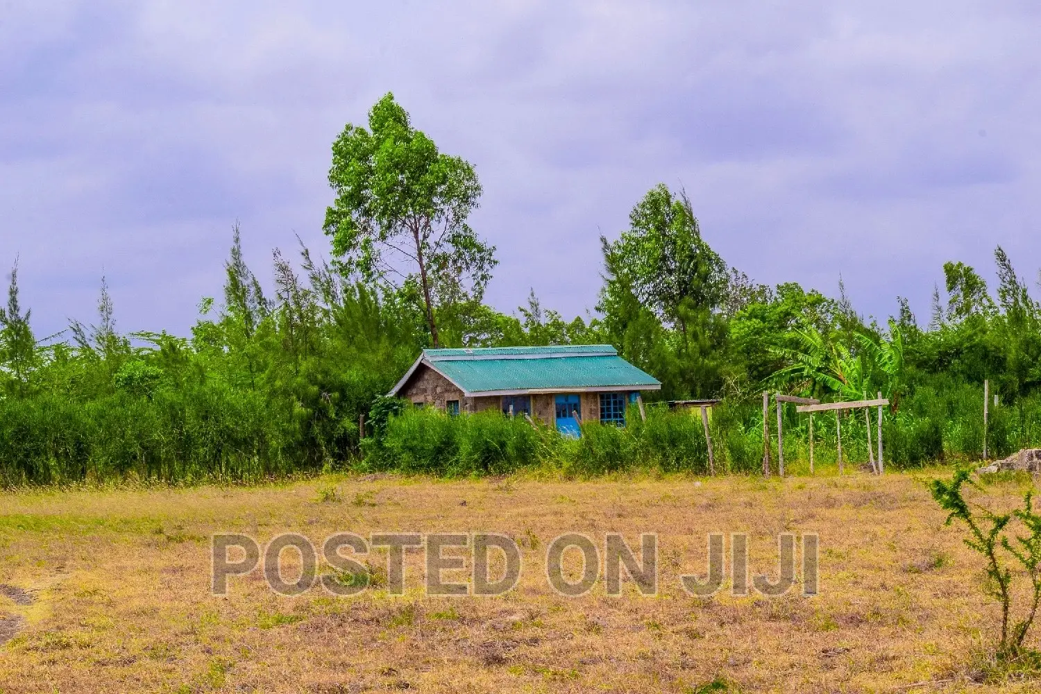 50 by 100 Plots in Juja Farm in Kamakis