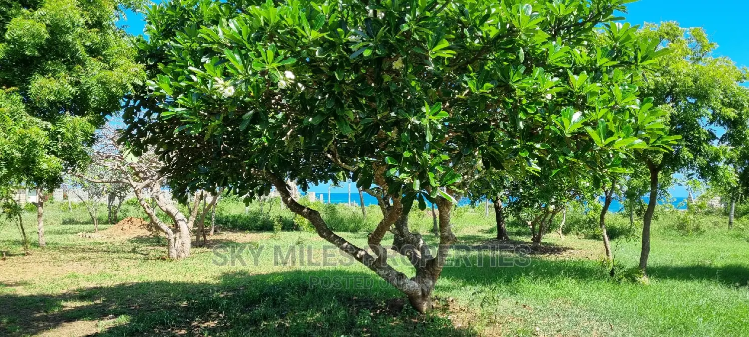 Spacious 3-Bedroom Villa for Sale in Jumba Ruins, Mtwapa in Mtwapa