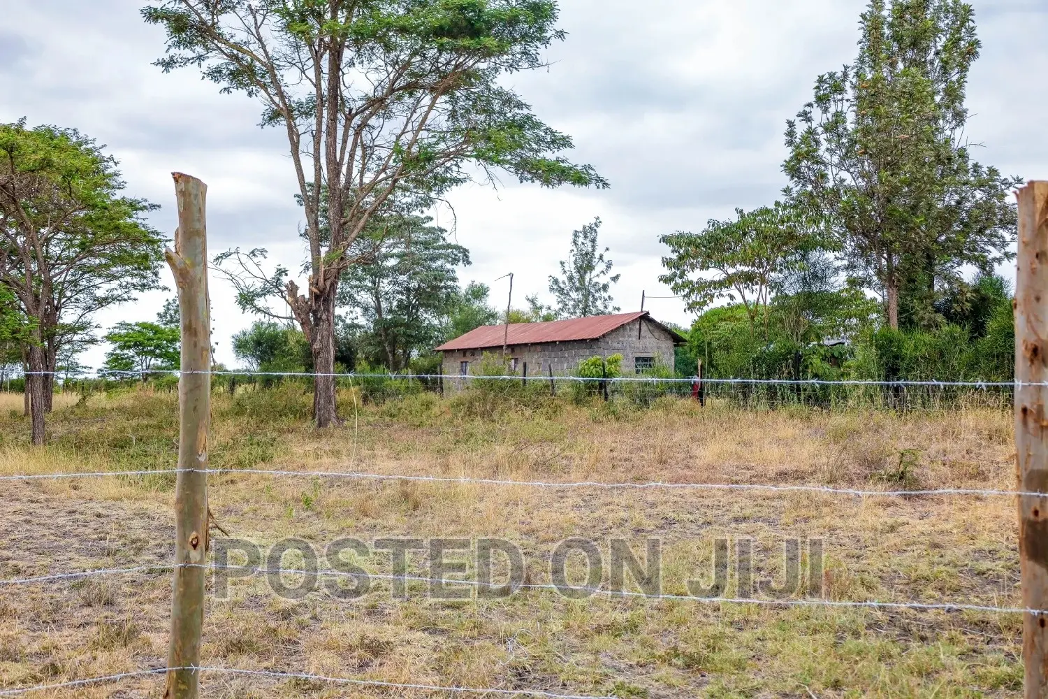 50 by 100 Plots at Ruby Gardens Juja Farm in Kamakis