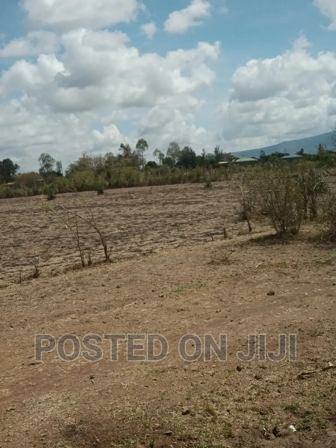 Plots for Sale 2km From Tarmac ^WW in Juja