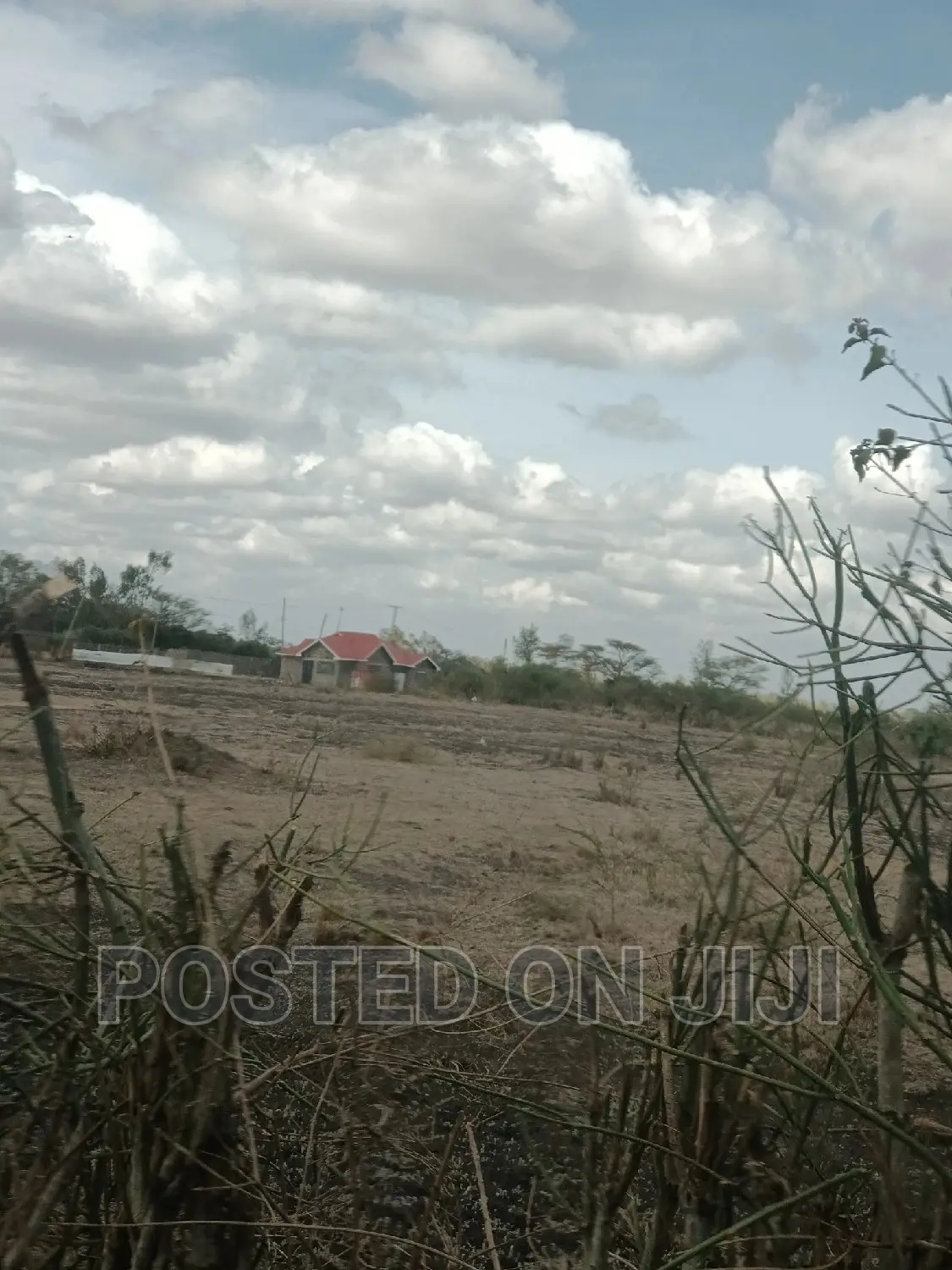 Plots for Sale 2km From Tarmac ^WW in Juja