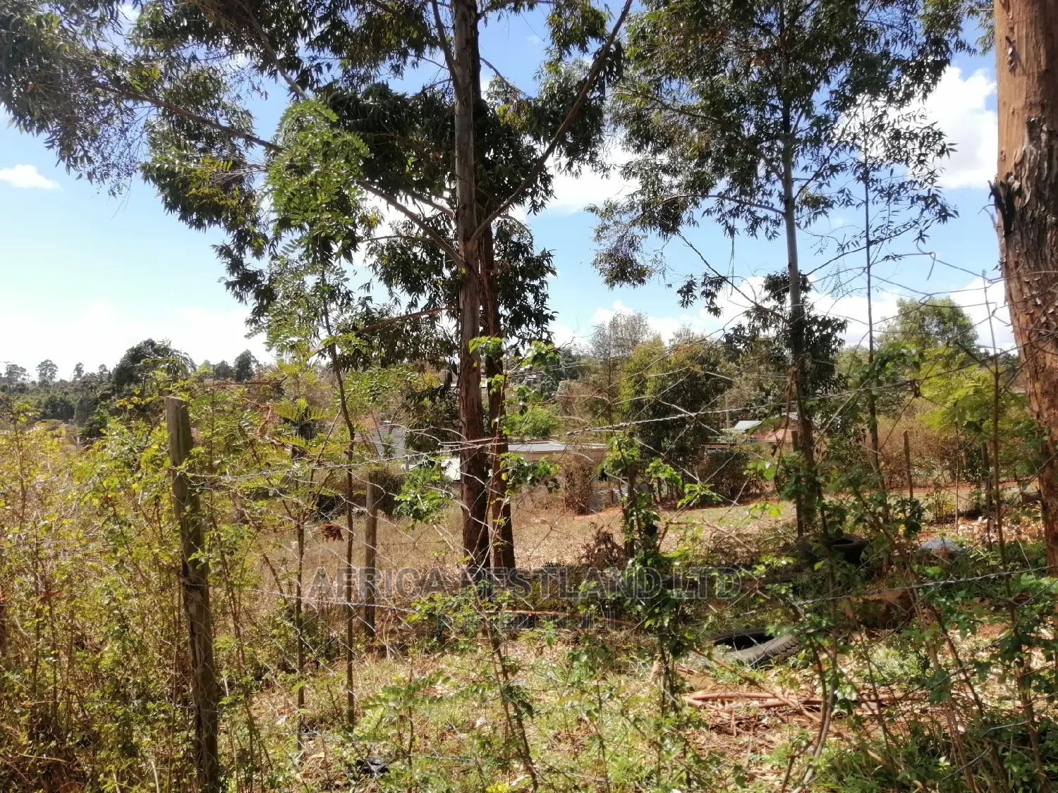 50x100 Residential Plot for Sale in Kikuyu Kamangu in Kikuyu