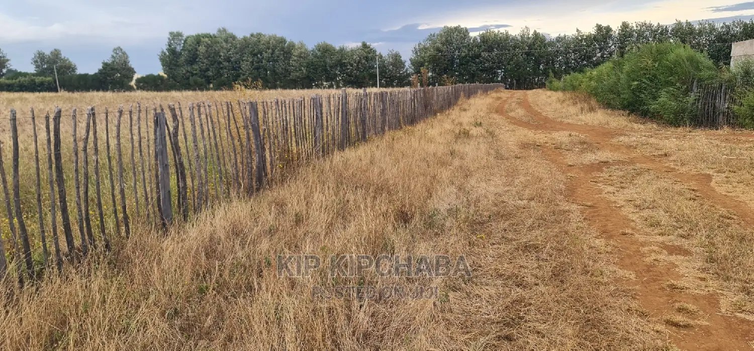 1 Acre Land for Sale in Kimumu Marura in Eldoret in Kimumu