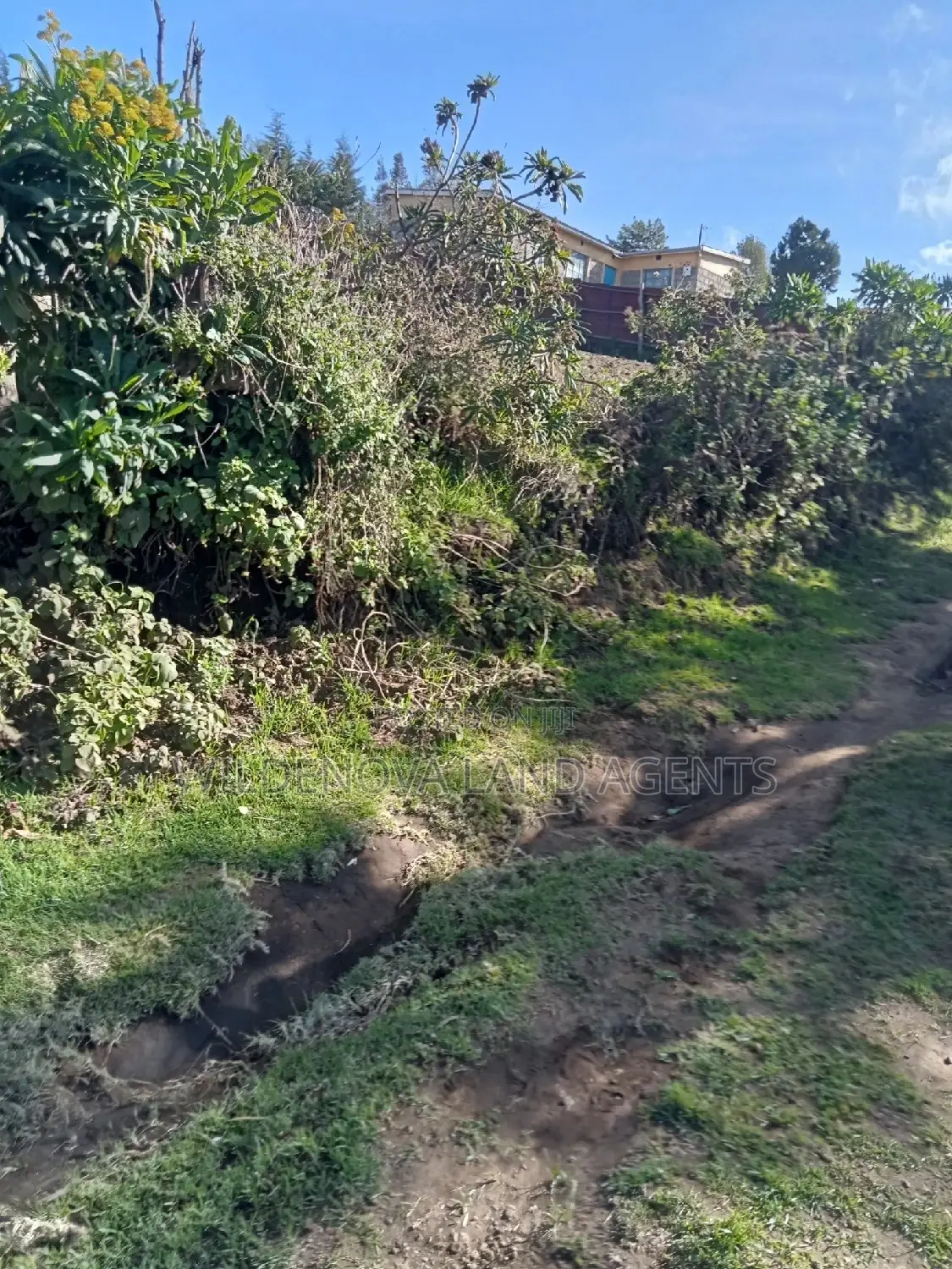 Naivasha Ihindu Land Sale - Affordable Plots Available in Naivasha East