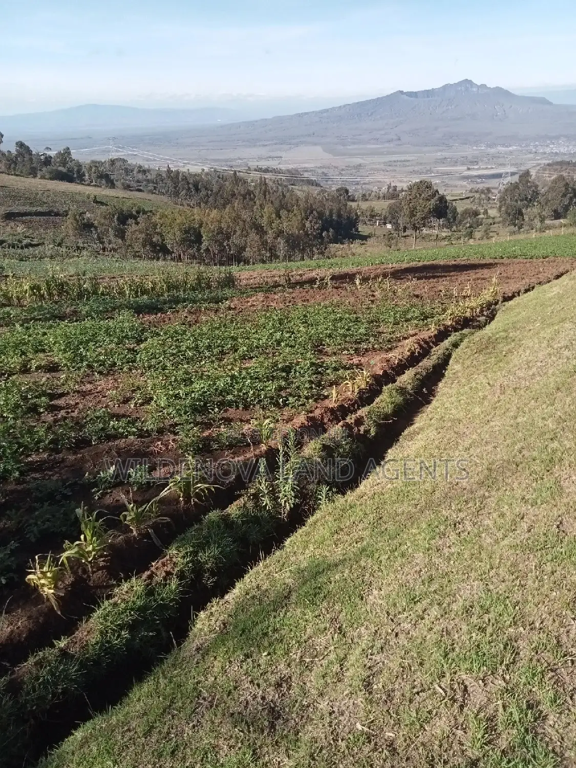 Naivasha Ihindu Land Sale - Affordable Plots Available in Naivasha East
