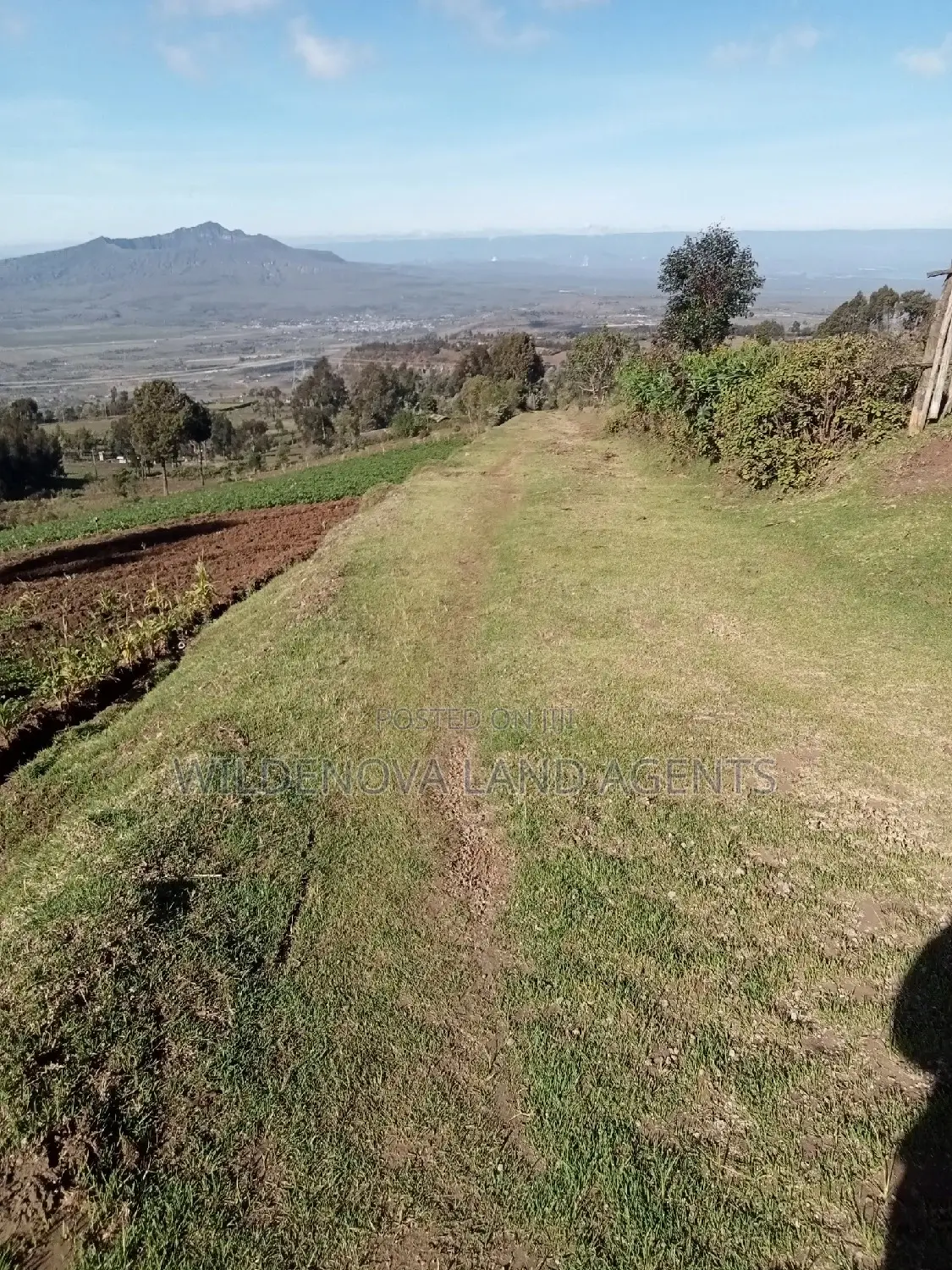 Naivasha Ihindu Land Sale - Affordable Plots Available in Naivasha East