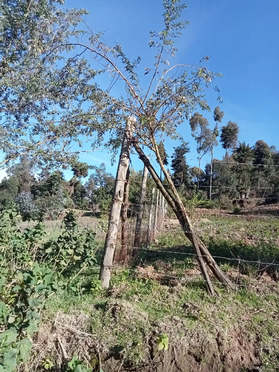 Buy Plot Today: Mwisho Wa Rami, Naivasha in Naivasha East