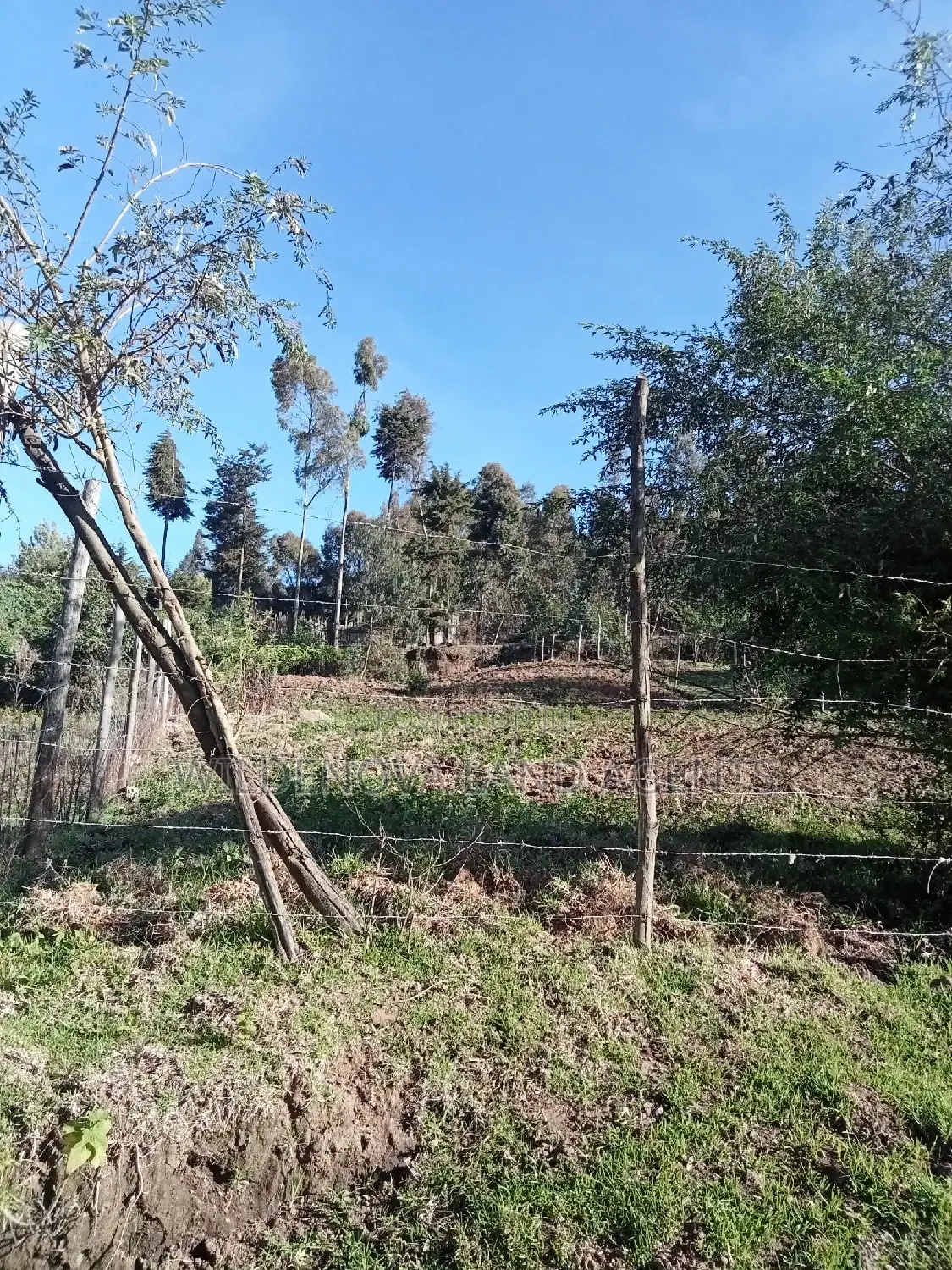 Buy Plot Today: Mwisho Wa Rami, Naivasha in Naivasha East
