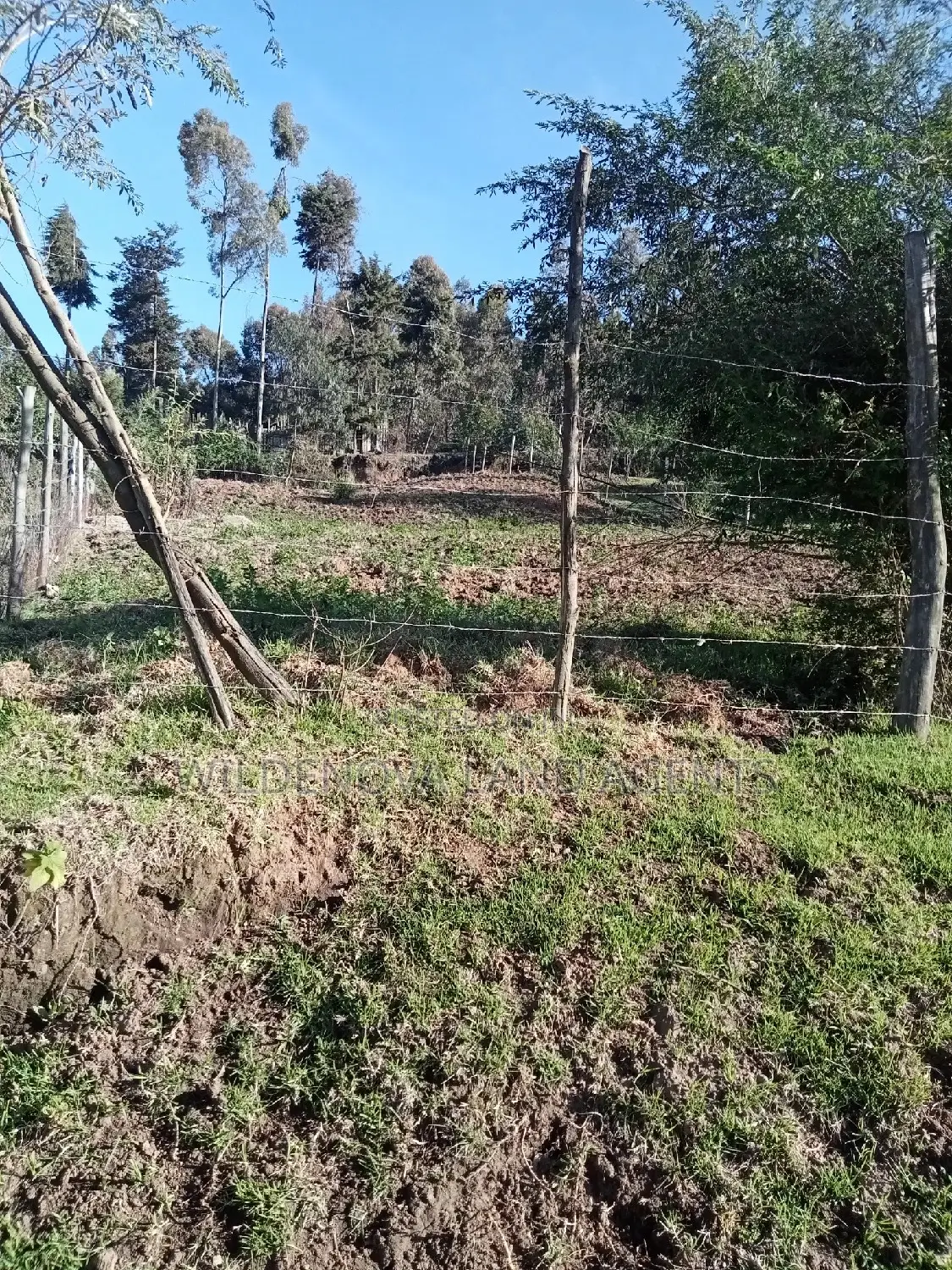 Buy Plot Today: Mwisho Wa Rami, Naivasha in Naivasha East
