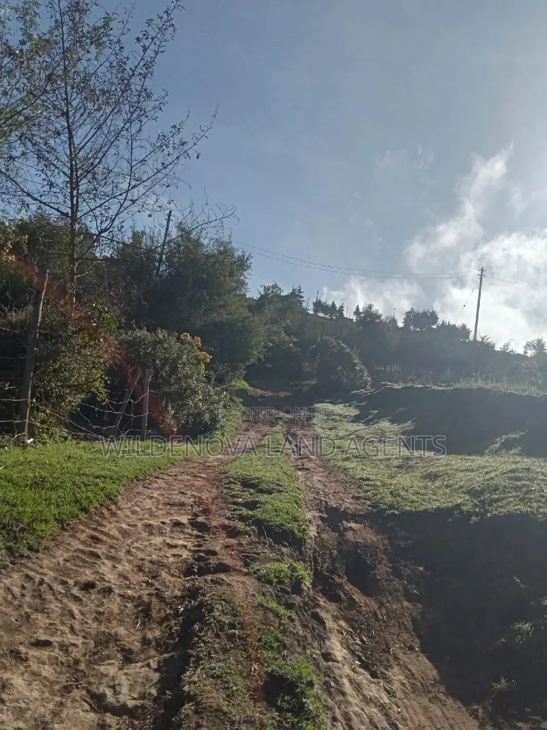 Buy Plot Today: Mwisho Wa Rami, Naivasha in Naivasha East
