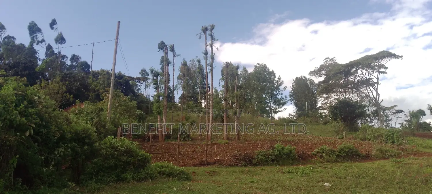Spacious 2.5-Acre Land for Sale in Ngong, Kahara Road in Ngong