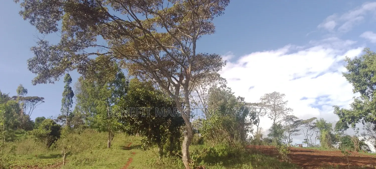 Spacious 2.5-Acre Land for Sale in Ngong, Kahara Road in Ngong