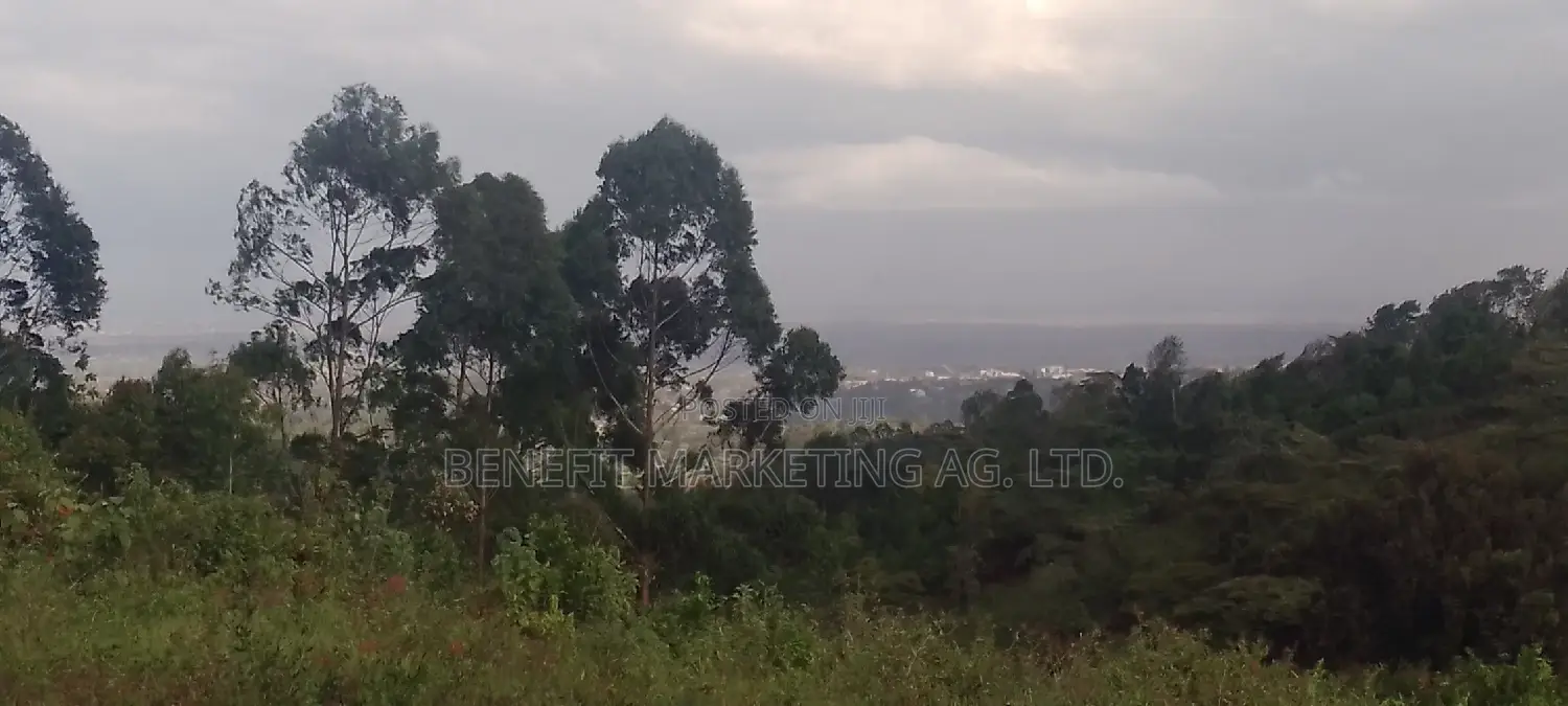 Spacious 2.5-Acre Land for Sale in Ngong, Kahara Road in Ngong