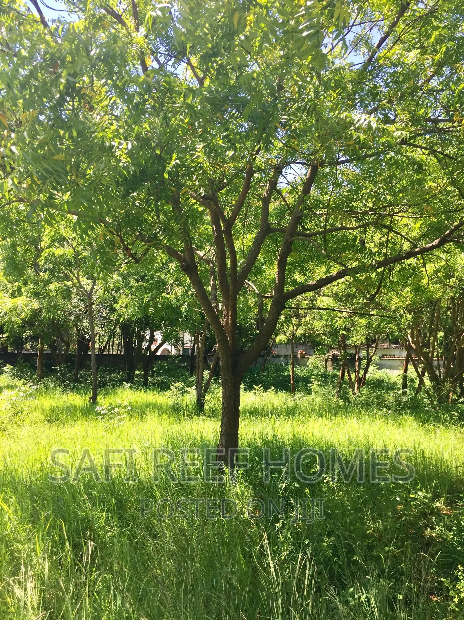Exclusive Land Opportunity in Nyali Greenwood in Nyali