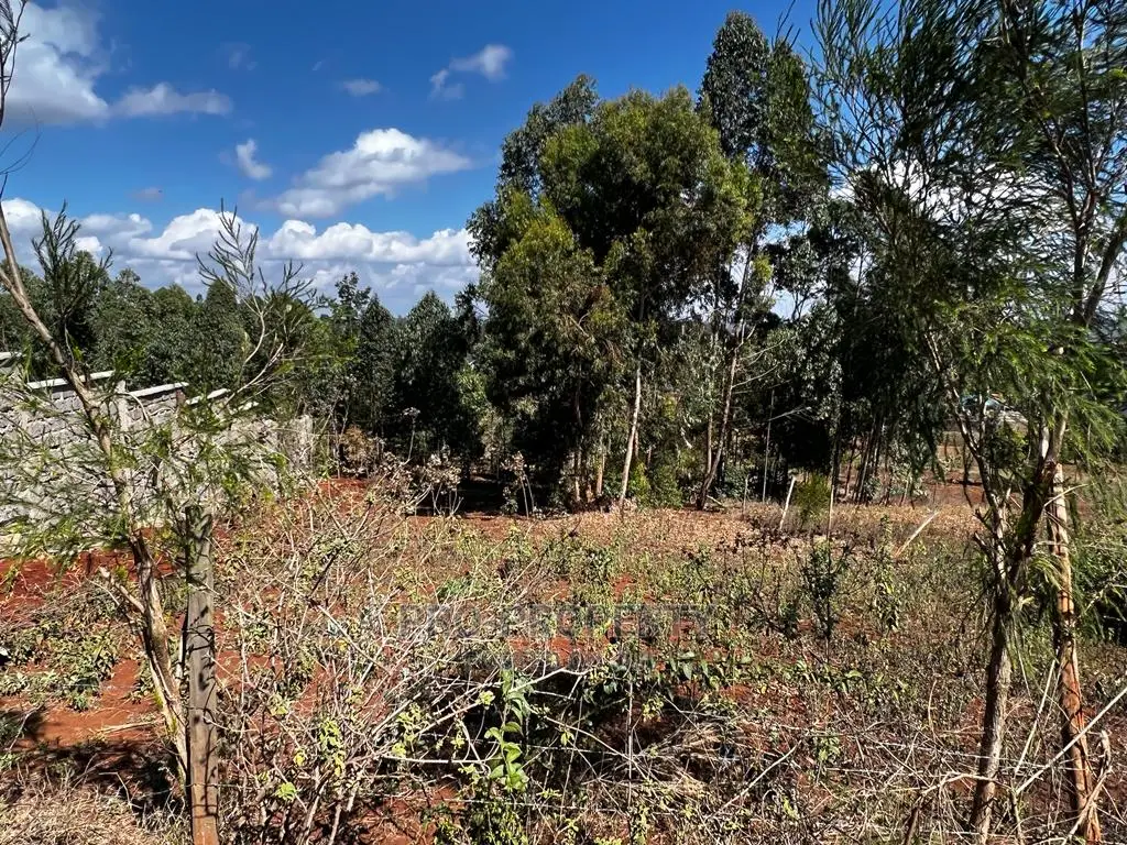 50x100ft Residential Plot in Prime Kikuyukamangu Available for Sale in Karai