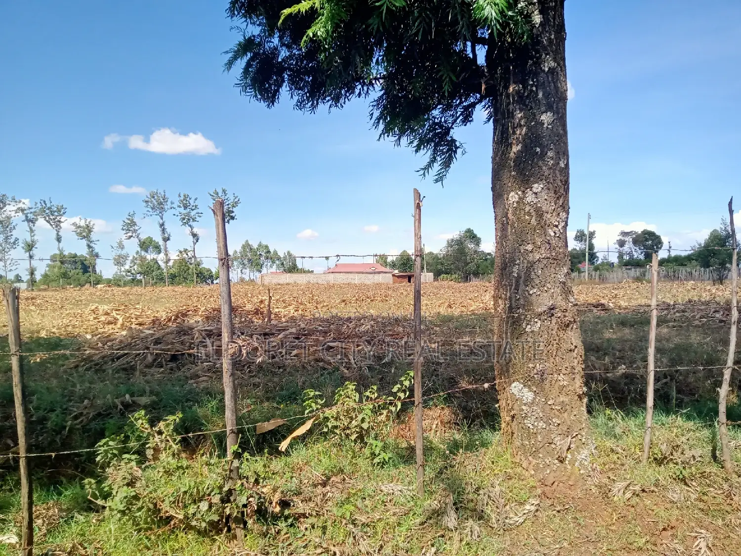 4-Acre Chebarus Ilula Title Land for Purchase in Eldoret CBD
