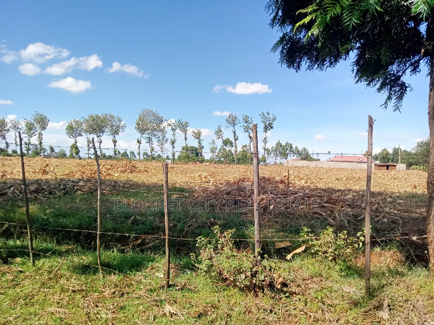 4-Acre Chebarus Ilula Title Land for Purchase in Eldoret CBD