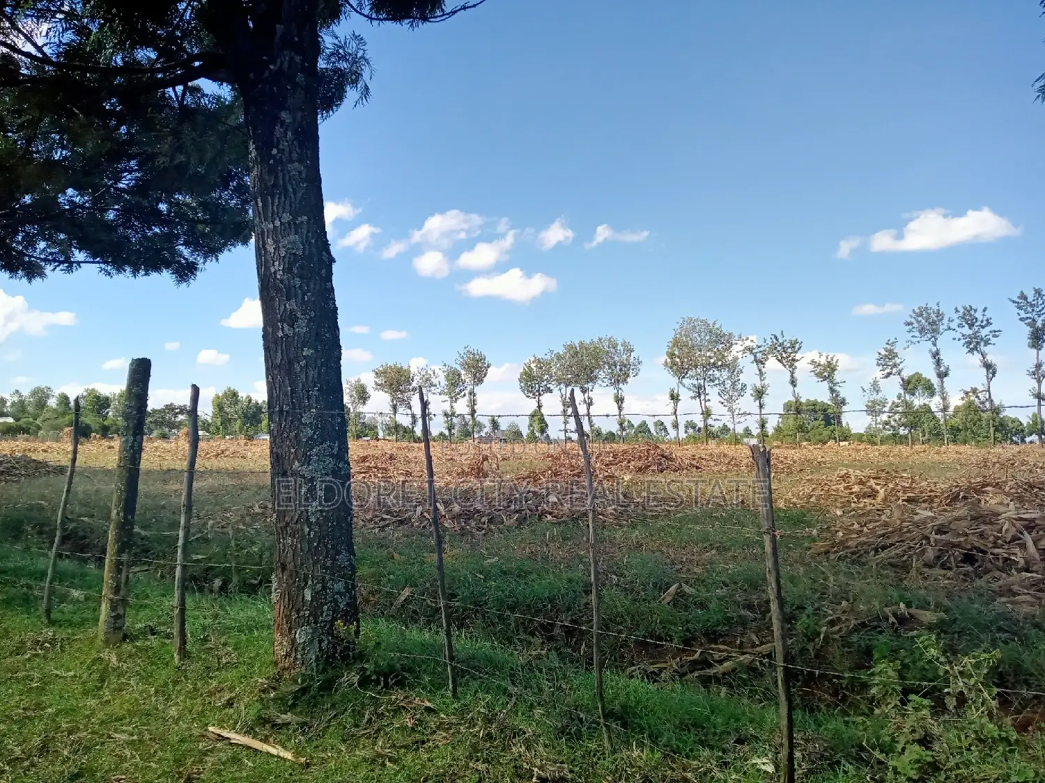 4-Acre Chebarus Ilula Title Land for Purchase in Eldoret CBD