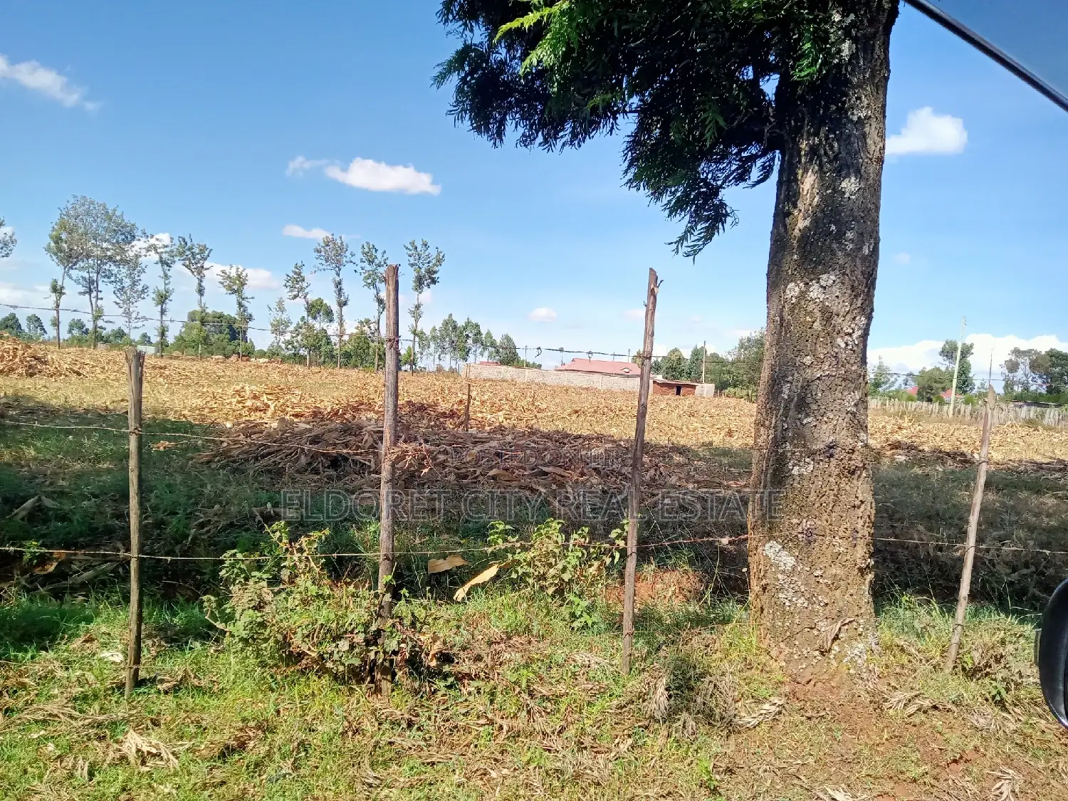 4-Acre Chebarus Ilula Title Land for Purchase in Eldoret CBD