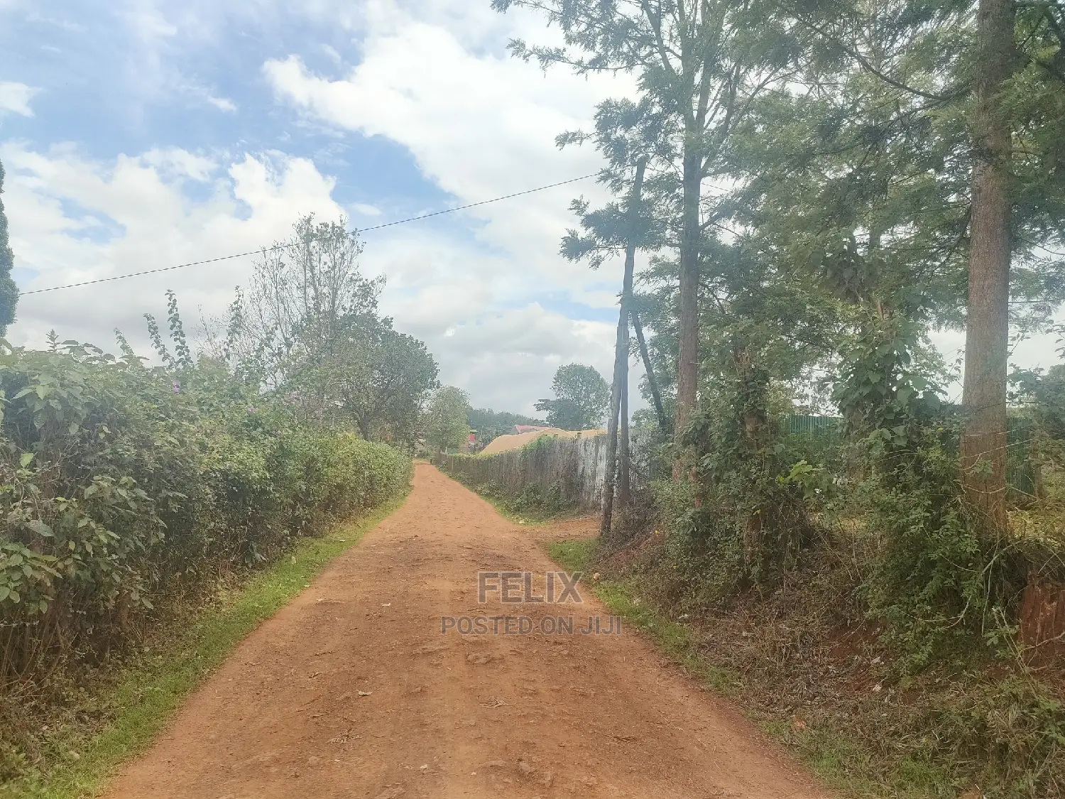 Karatina / Wariruta 50/100 Plots in Karatina Town