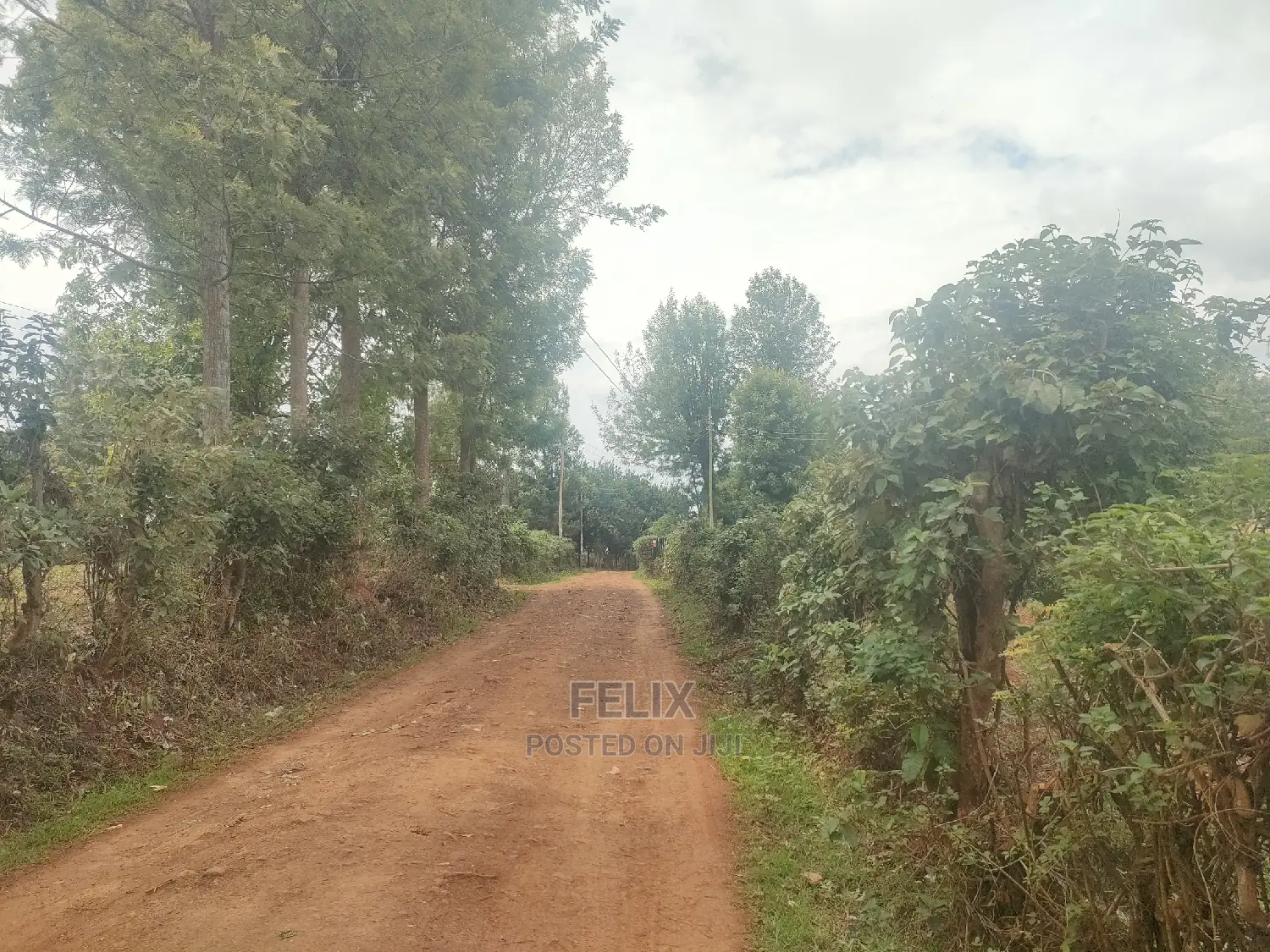 Karatina / Wariruta 50/100 Plots in Karatina Town