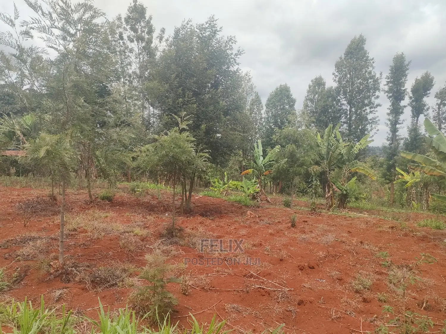 Karatina / Wariruta 50/100 Plots in Karatina Town