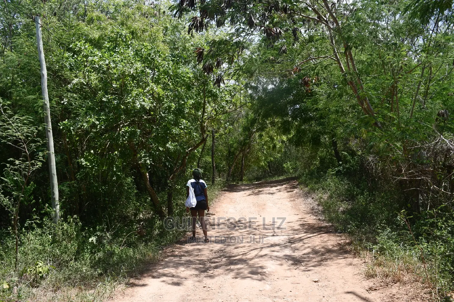 One-Acre Land for Sale in Kilifi Plantation in Kilifi North
