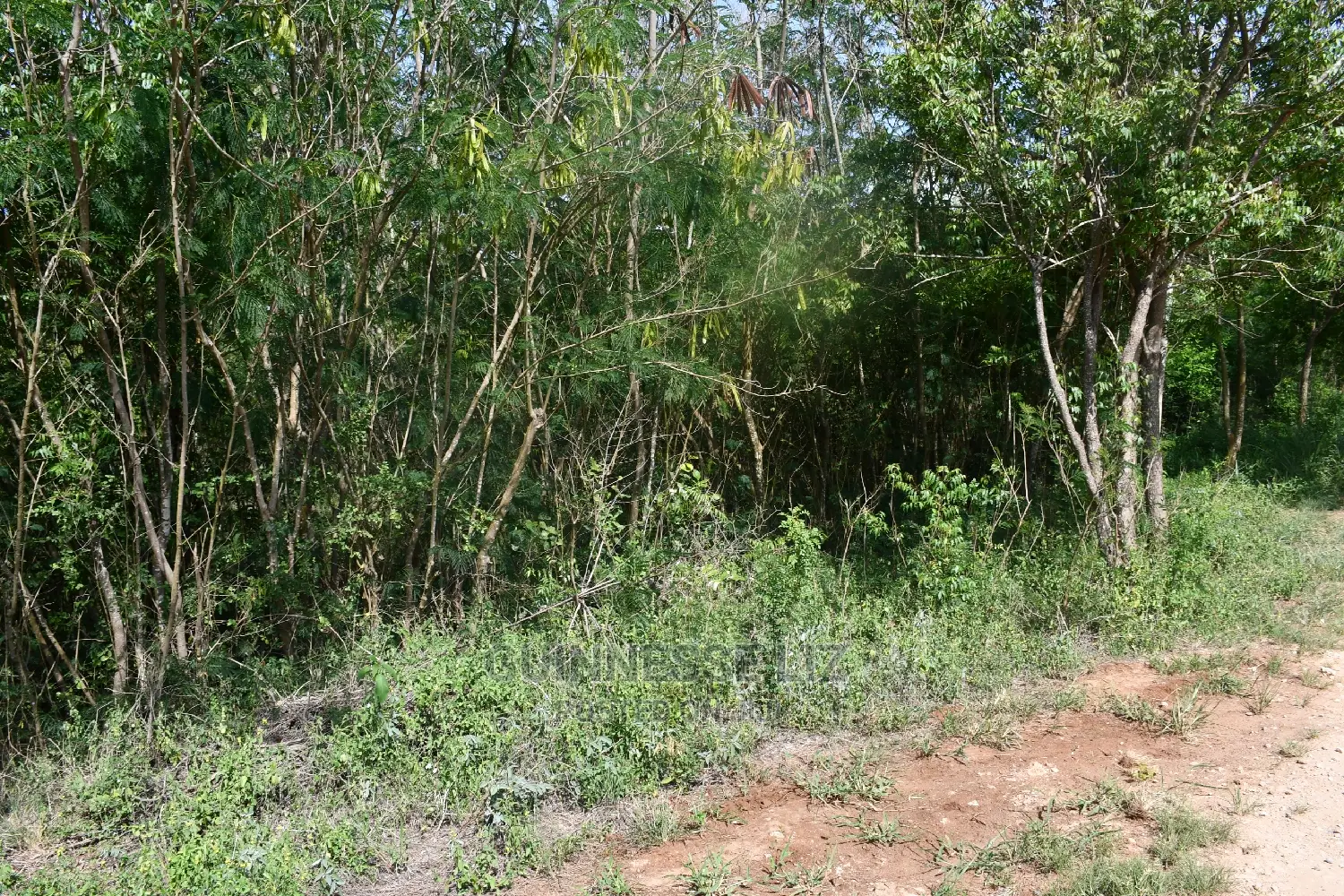 One-Acre Land for Sale in Kilifi Plantation in Kilifi North