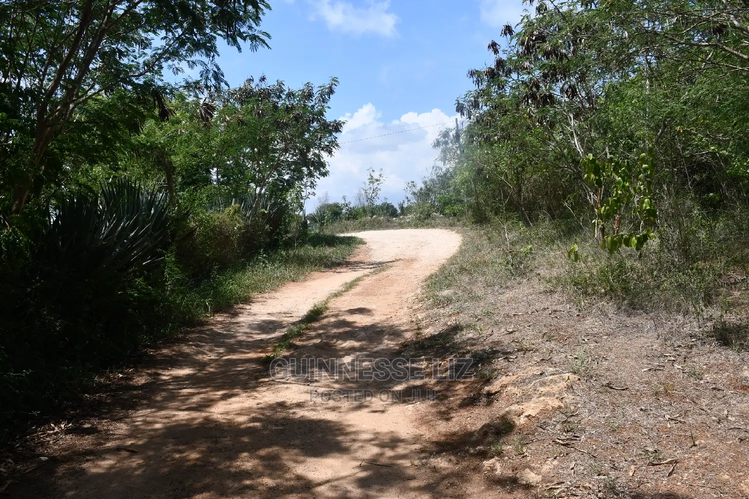 One-Acre Land for Sale in Kilifi Plantation in Kilifi North