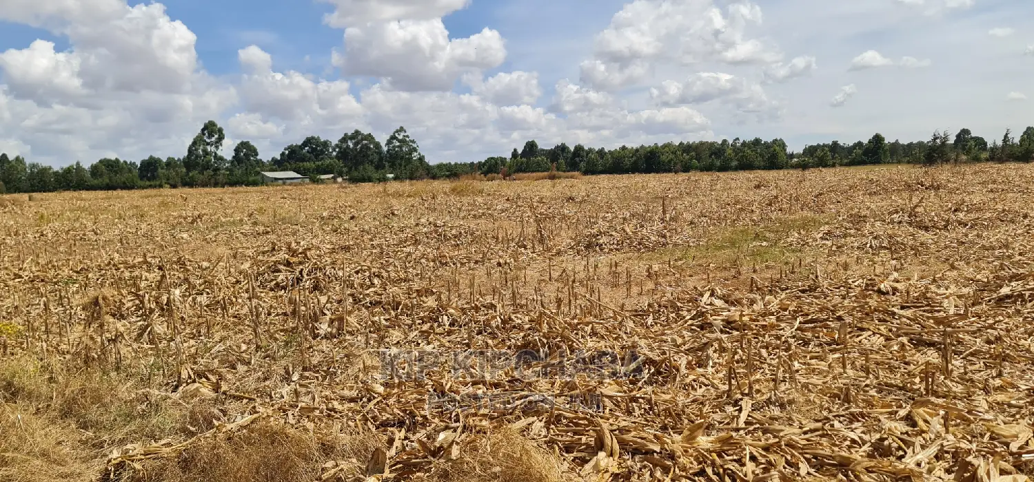 Affordable 1/4 Acre Plots in Secure Gated Community - Marura Eldoret in Kimumu