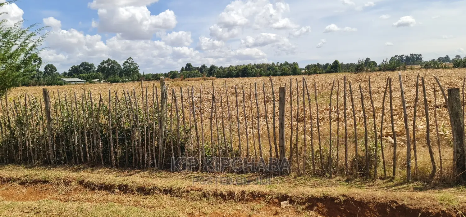 Affordable 1/4 Acre Plots in Secure Gated Community - Marura Eldoret in Kimumu