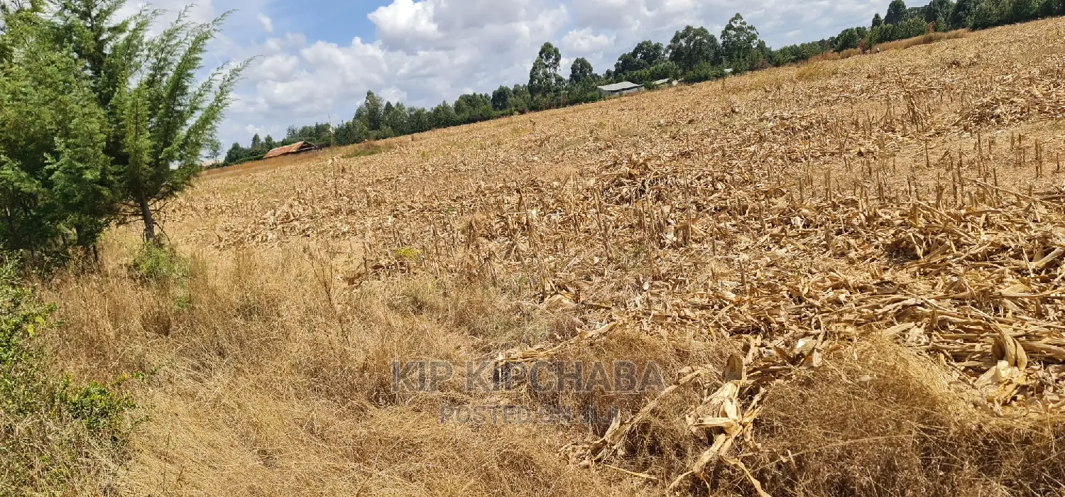 Affordable 1/4 Acre Plots in Secure Gated Community - Marura Eldoret in Kimumu