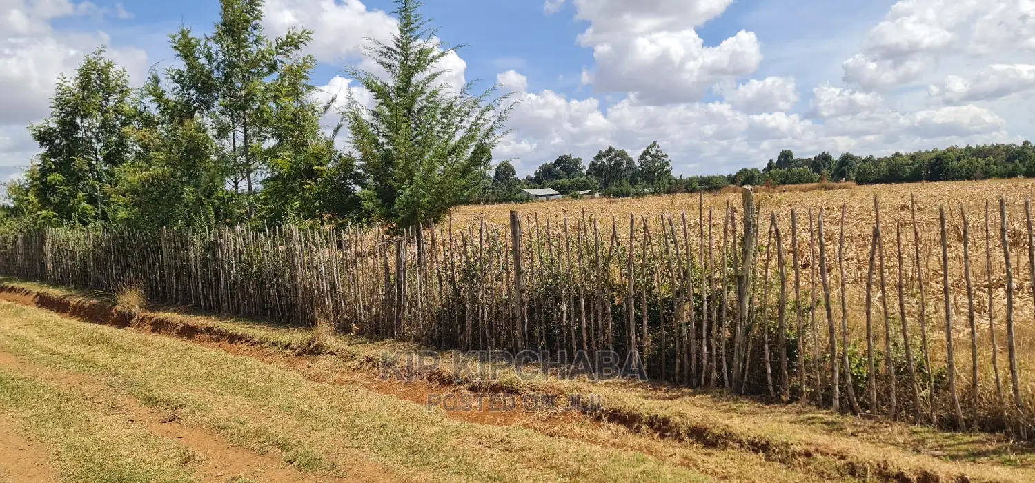 Affordable 1/4 Acre Plots in Secure Gated Community - Marura Eldoret in Kimumu
