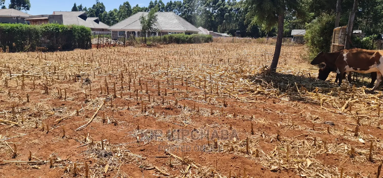 1⁄4 Acre Plot for Sale in Eldoret's Kipkenyo Rivertex Toad in Kipkenyo