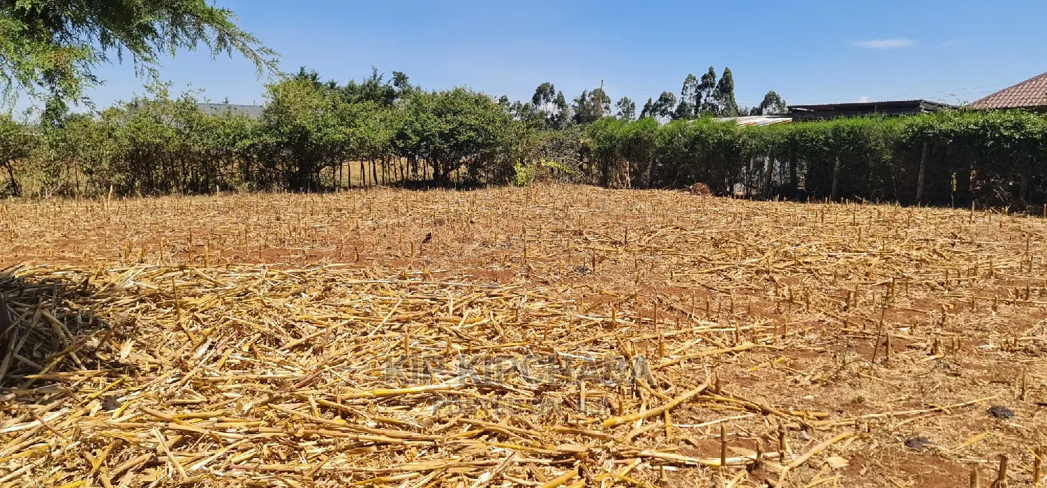1⁄4 Acre Plot for Sale in Eldoret's Kipkenyo Rivertex Toad in Kipkenyo