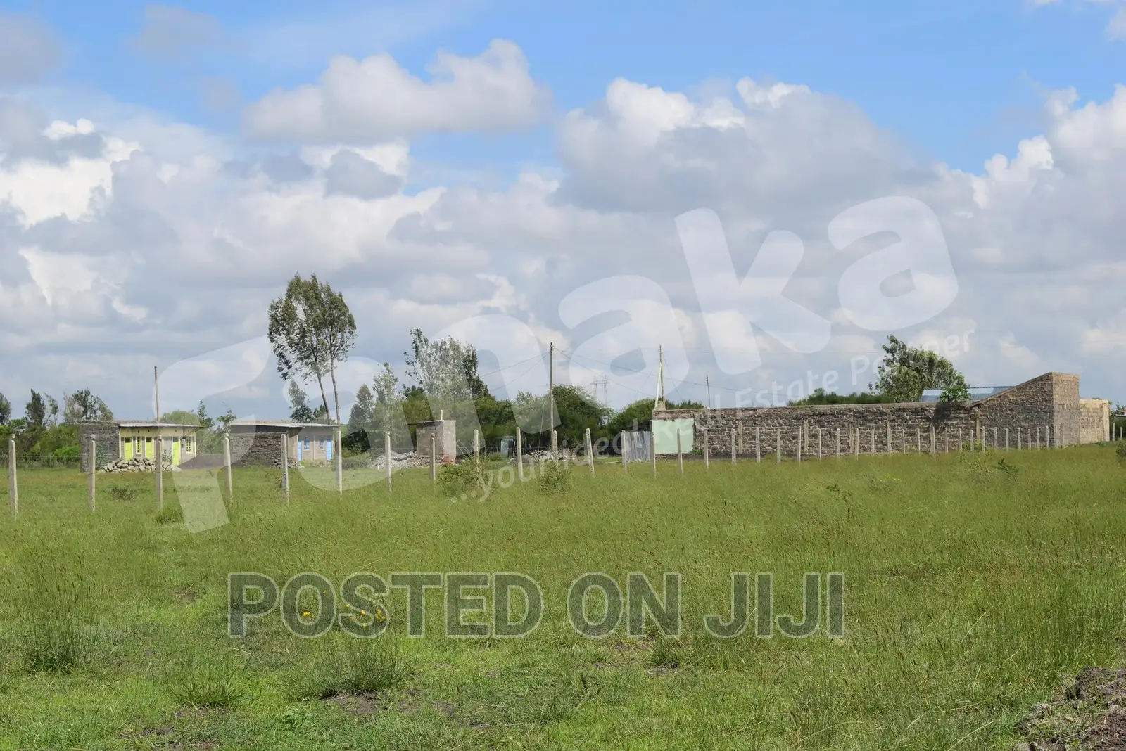 Cheapest Plots in Juja Farm - CK in Kalimoni