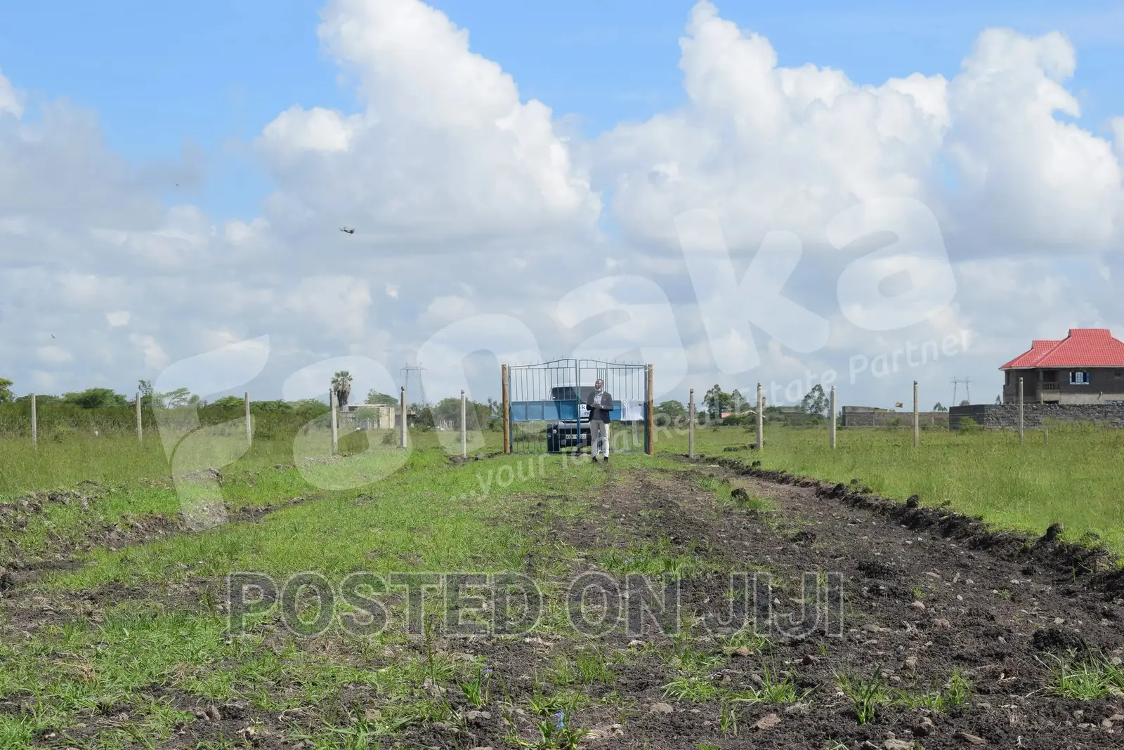 Cheapest Plots in Juja Farm - CK in Kalimoni