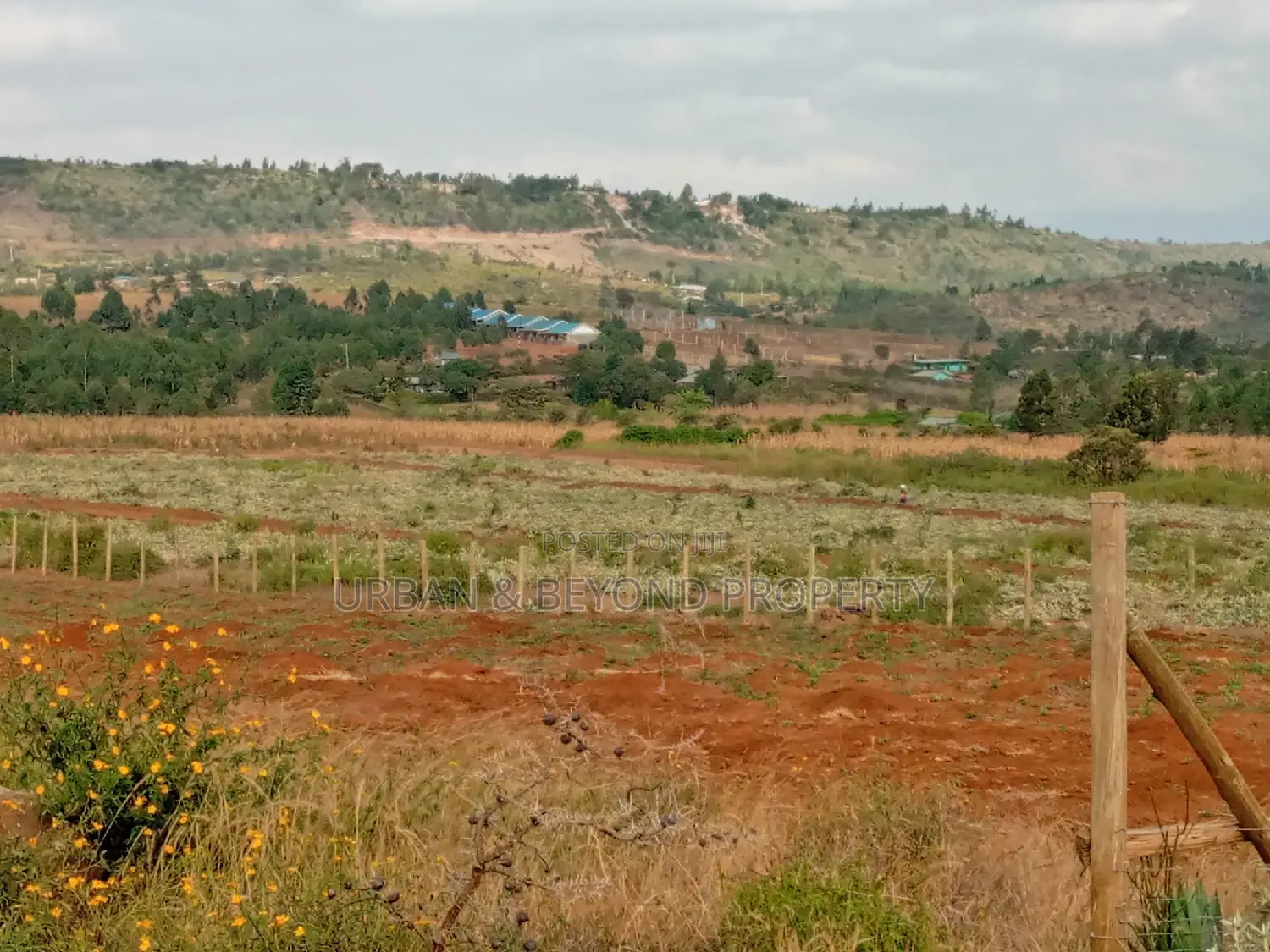 Kamangu: 50 by 100 Plots on Offer - Seize Your Chance for a Great Investment in Kikuyu