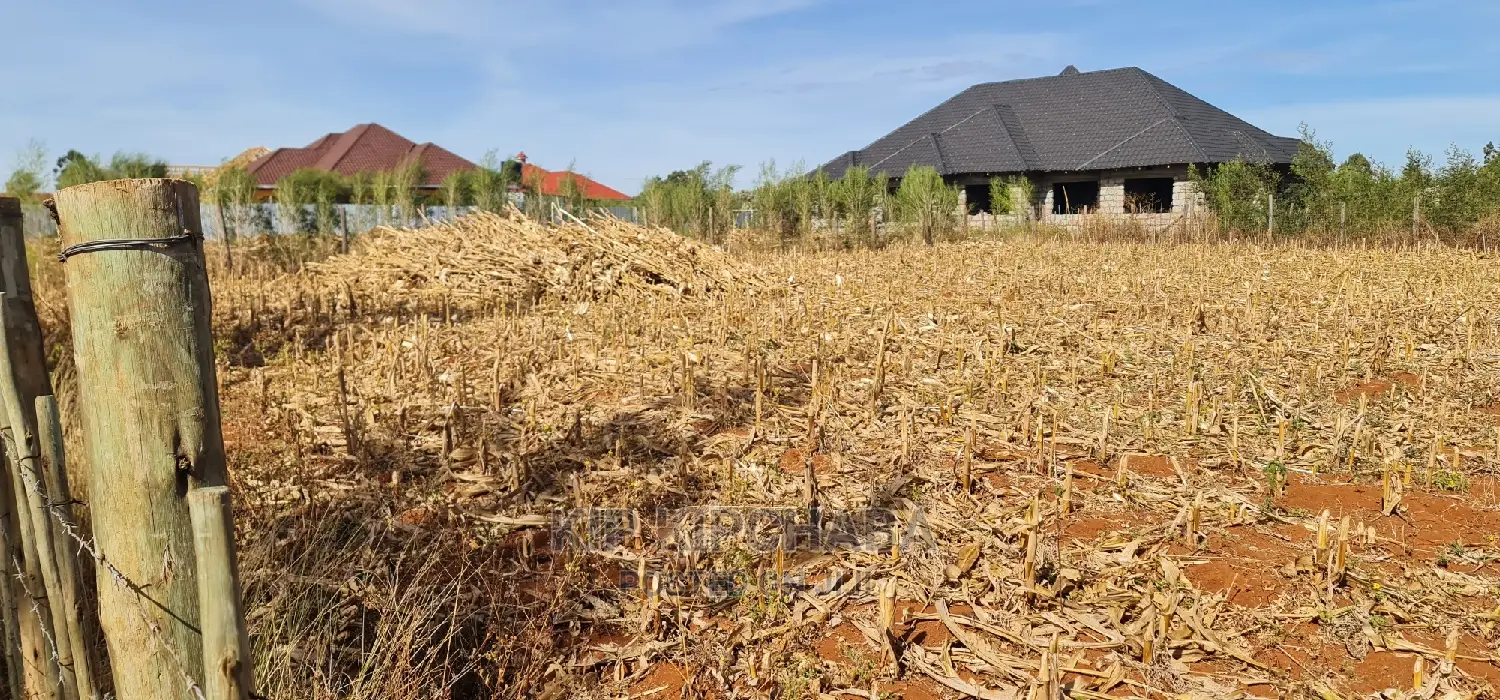 Big 1⁄4 Plot for Sale in Chepkanga Willow Tree Eldoret in Kimumu