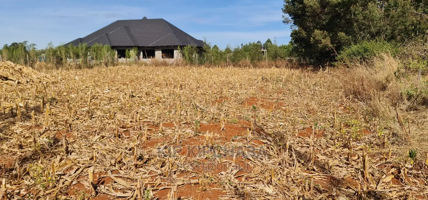 Big 1⁄4 Plot for Sale in Chepkanga Willow Tree Eldoret in Kimumu