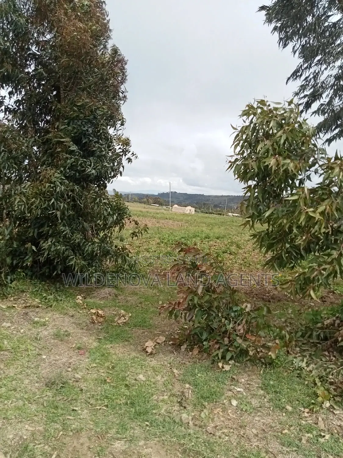 Invest in a Plot in Naivasha Ihindu - Act Now and Own Your Dream! in Naivasha East