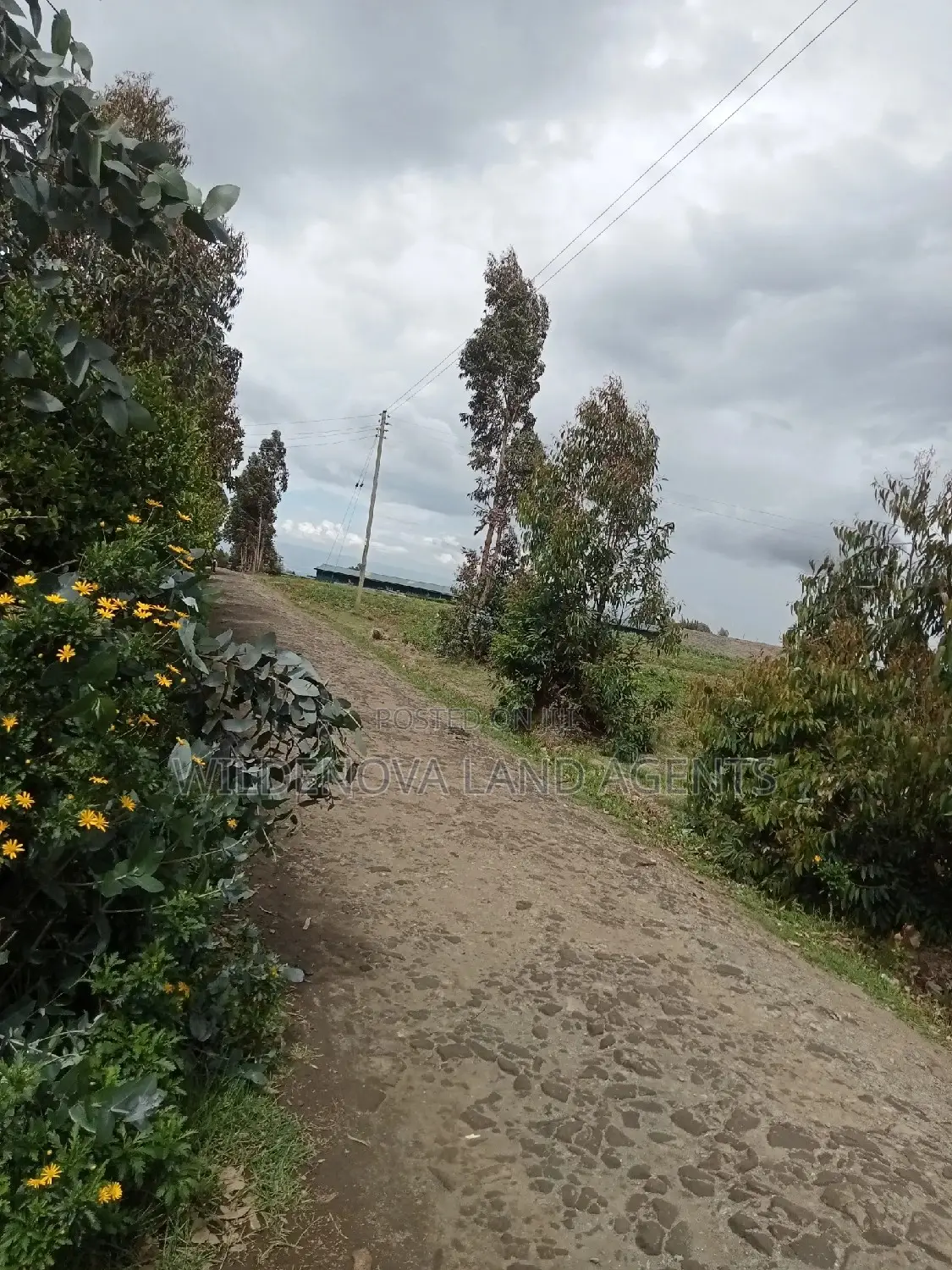 Invest in a Plot in Naivasha Ihindu - Act Now and Own Your Dream! in Naivasha East