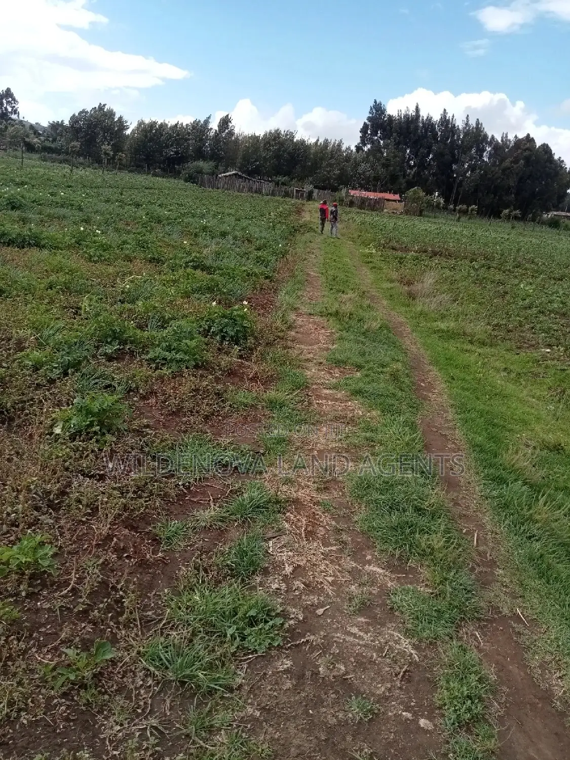Invest in a Plot in Naivasha Ihindu - Act Now and Own Your Dream! in Naivasha East