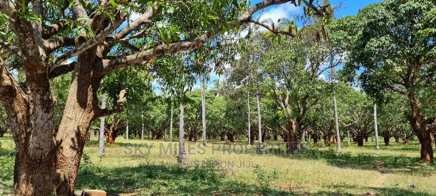 8-Acre Mtwapa Land for Sale: Prime Real Estate Opportunity in Mtwapa