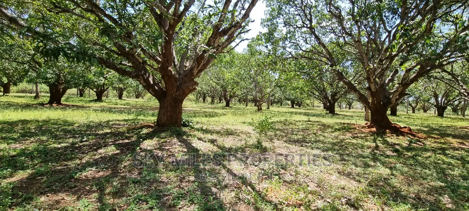 8-Acre Mtwapa Land for Sale: Prime Real Estate Opportunity in Mtwapa